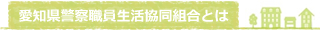 組合の概要